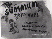 Trip Hop!
