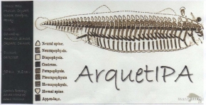 Arquetipa