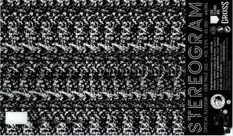 THE FLYING INN & GROSS - STEREOGRAM