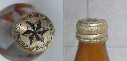 Pilsen 1L (Dorado)